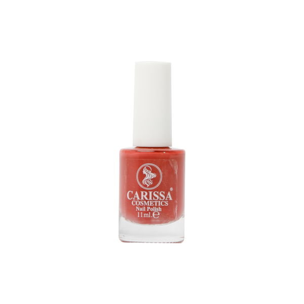 Carissa nails polish kit 03