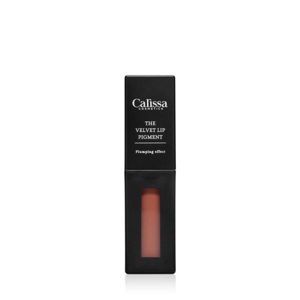 The Velvet Lip Pigment - 04 Terracotta