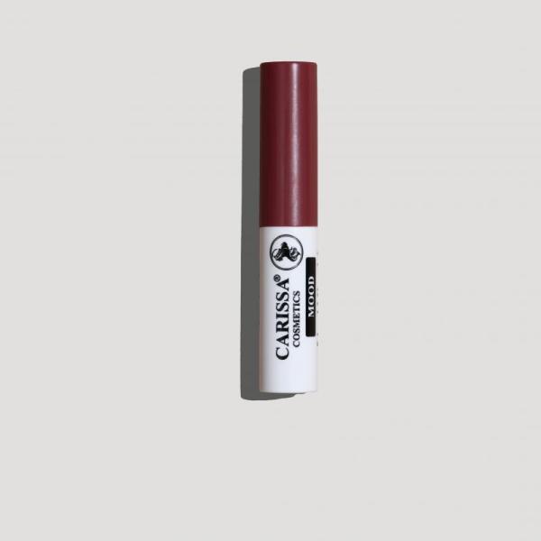Lipstick Mood