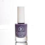 Carissa nails polish kit 02
